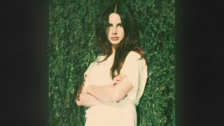 FREE Lana Del Rey X Piano Ballad Type Beat  quot We cant look back quot [upl. by Naillimxam721]