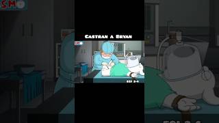 Castran a Bryan 🤣 familyguy stewiegriffin humor shorts shortsfeed shortsviral [upl. by Tayyebeb188]