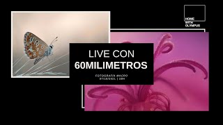 Fotografía Macro con Iván 60 milímetros [upl. by Pompea]