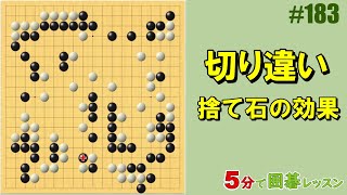 【切り違い 捨て石の効果】５分で囲碁レッスン 183 [upl. by Ecirtel]