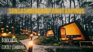 Bobocabin Cikole Lembang  Sensasi menginap dihutan pinus [upl. by Malissia]