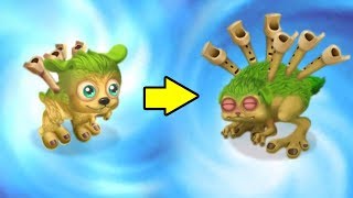 Cloud Island  Adult REEDLING SHORTEST TUNE  My Singing Monsters DoF [upl. by Lad]