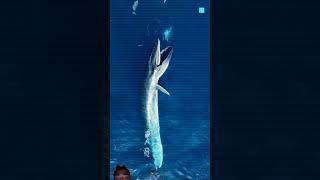 How baleen works whale amazingfacts ocean animals shark new trending dastan latest facts [upl. by Kathe]