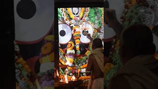 Today Sandhya aarti darshan of shree Jagannath 🙏🥺✨ Jagannath dham Puri ❤️🙏lord jagannath aarti [upl. by Amato]