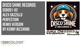 Alex Gazzillo  Perfection  Kenny Bizzarro Remix  DSR001 [upl. by Anayk]