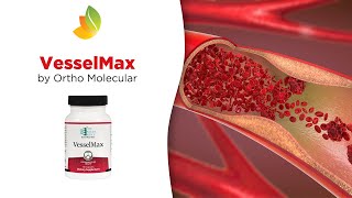 VesselMax by Ortho Molecular  Supreme Cardiovascular Support [upl. by Thanos]