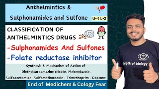 Anthelmintics  Classification of Anthelmintics  Sulfonamide and sulfone  SAR of Sulphonamides [upl. by Sirovat]