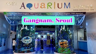 Exploring COEX AQUARIUM in Gangnam Seoul South Korea 코엑스아쿠아리움 COEXaquarium [upl. by Aeikan]