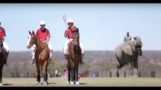 Zambia Polocrosse [upl. by Nadnerb]