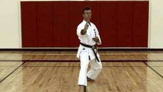 Basic Karate Blocks  Part 2 [upl. by Divadnhoj]