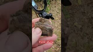 Interesting metaldetecting metaldetectingfinds shorts [upl. by Riccio719]