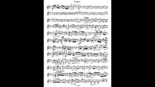 Seitz Violin Pupils Concerto No3 Op12 Student 賽茲 賽滋 小提琴 學生 協奏曲 第三號 Score Sheet 譜 樂譜 谱 楽譜付き 【Kero】 [upl. by Culliton56]