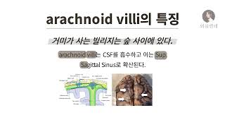 암기법 arachnoid villi의 특징 [upl. by Barnaba672]