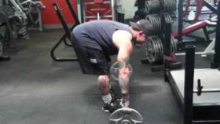 Pendlay Rows  Upper Back Exercises [upl. by Ianthe]