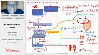 ENFERMEDADES HEMATOLÓGICAS  NEONATOLOGÍA  VILLAMEDIC [upl. by Gherardi200]