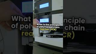 What is the principle of polymerase chain reaction [upl. by Arlo438]