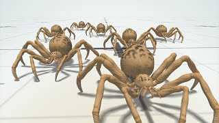 Influx of spiders in UK homes [upl. by Quirita924]