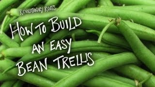 How to Build an Easy Bean Trellis  FarmingGardening Lesson  Revolutionary Roots [upl. by Igor]