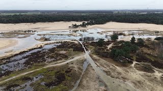 Loonse en Drunense Duinen [upl. by Tolkan98]