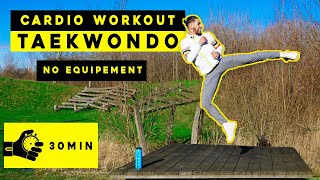 30 minutes Taekwondo CARDIO Workout 🔥No Equipement [upl. by Inahet]