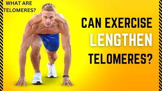 CAN EXERCISE LENGTHEN TELOMERES TELOMERES EXPLAINED [upl. by Rolyks]