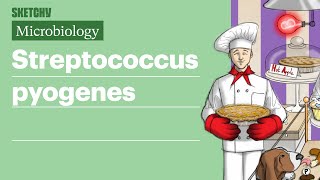 Streptococcus pyogenes Infection Fundamentals  USMLE Step 1  Sketchy Medical [upl. by Aratehs123]