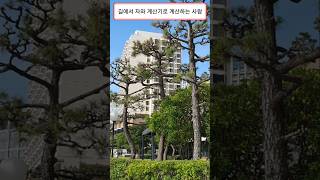 길에서 자와 계산기로 계산하는 사람 [upl. by Anir]