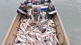 Dip Netting The Kenai River GOT OUT OF CONTROL [upl. by Ambrosine327]