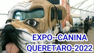 EXPO CANINA QUÉRETARO 2022 MÉXICO ASI SE VIVIO [upl. by Boylan662]