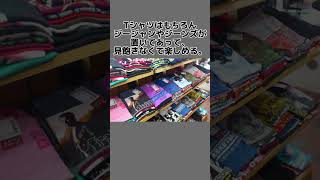 下北沢限定！古着好きになったきっかけのお店2選！古着 下北沢 古着屋 [upl. by Rapsac]