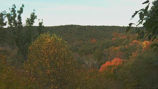 Colors of fall take over Bernheim Forest [upl. by Searcy978]