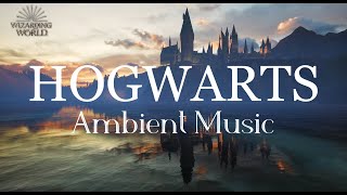 Harry Potter Ambient Music  Hogwarts  Relaxing Studying Sleeping [upl. by Glassco]