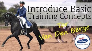 How to introduce basic training concepts to young Dressage horses with Tor Van Den Berge [upl. by Yajiv]