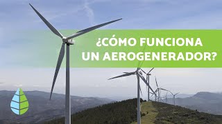 ¿Cómo funciona la ENERGÍA EÓLICA 💨⚡  Tipos de AEROGENERADORES [upl. by Ahsinit]