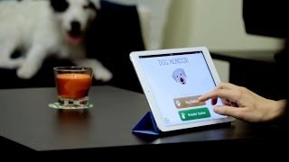 Dog Monitor  Pet monitoring app for iPhone iPad and iPod touch [upl. by Eirena493]