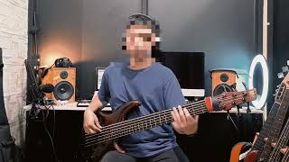 Serenata Jiwa Lara  Diskoria Dian Sastro Laleilmanino Version Bass Cover Playthrough [upl. by Llerol]