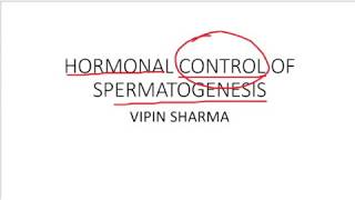 Hormonal control of spermatogenesis process for AIIMS JIPMER [upl. by Lorilyn]