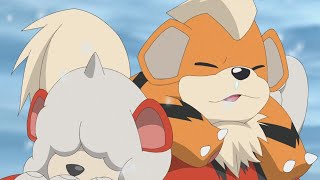 Growlithe sneezes 🤧 [upl. by Alameda]