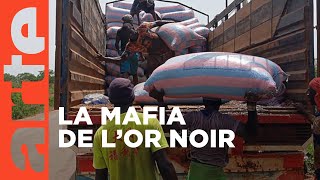 Côte d’Ivoire  haro sur le cacao  ARTE Reportage [upl. by Osei]