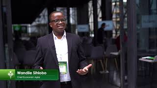 Interview with Wandile Sihlobo at AgriSAs Congress 2024 [upl. by Ursulette376]