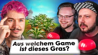 Aus welchem Videospiel ist das Gras  Brainlag Gaming [upl. by Noleta664]