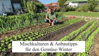 Der ideale WINTERGEMÜSEGUIDE 🥬 Mischkulturen Anbautipps Düngung amp Bewässerung im Überblick [upl. by Aleydis]