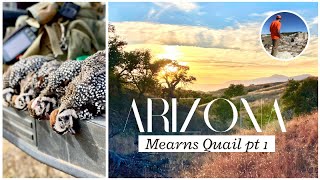 Arizona Mearns QuailTheyre GONE Part 1 [upl. by Eppesiug]