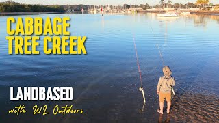 Land Based Fishing  Cabbage Tree Creek [upl. by Dorcia]