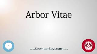 Arbor Vitae Anatomy of the Brain SeeHearSayLearn 🔊 [upl. by Dud327]