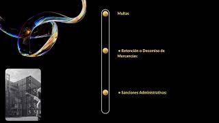 Infracciones a la ley aduanera [upl. by Jarin]