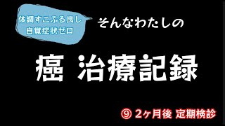 癌治療、記録したみた！⑨ 2ヶ月後定期検診 子宮頸がん腺癌【115のりのり】 [upl. by Kailey]