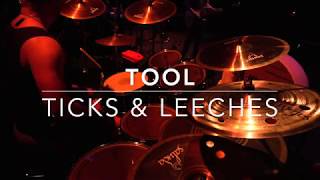 TOOL  Ticks amp Leeches Live Drum Cover [upl. by Ahsieyk269]