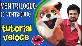 VENTRILOQUO  e Ventriculo   TUTORIAL VELOCE  by Andrea Radicchi [upl. by Nnil]