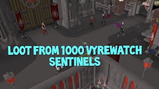 Loot From 1000 Vyrewatch Sentinels  I made 31mH  Blood Shards  OSRS 2024 [upl. by Ilam703]